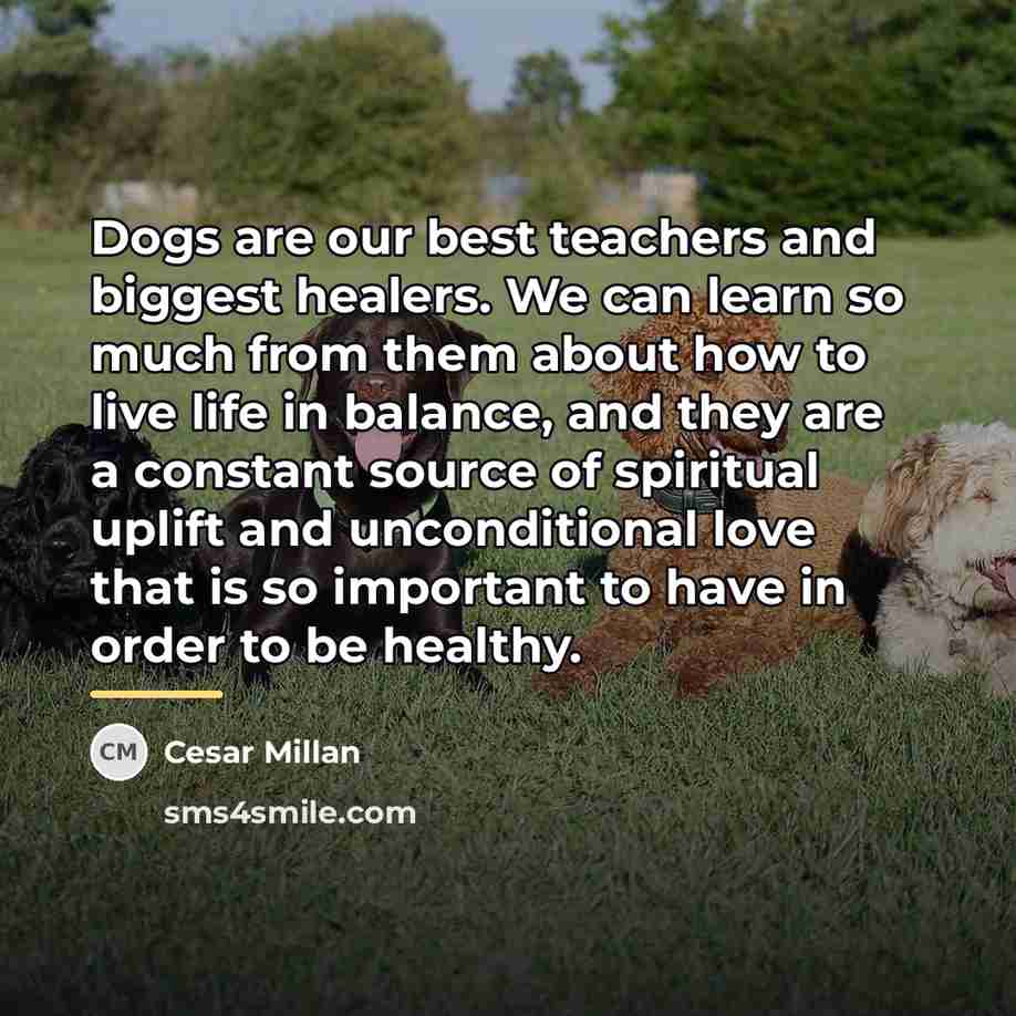 “Dogs are our best teachers and biggest healers. We can…” quote by Cesar Millan