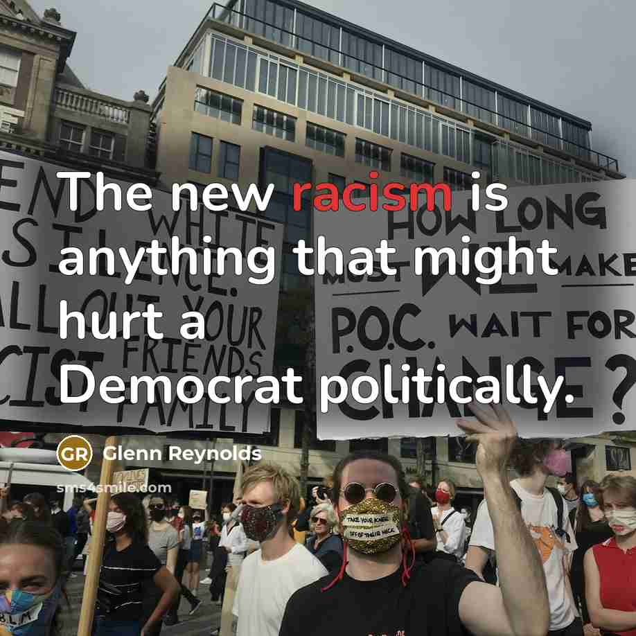 “The new racism is anything that might hurt a Democrat…” quote by Glenn Reynolds