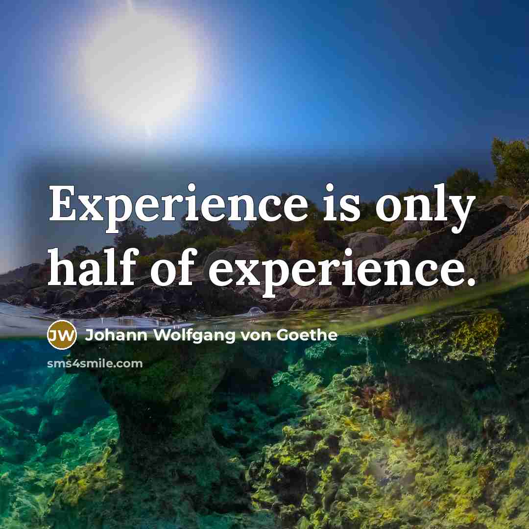 “Experience is only half of experience.…” quote by Johann Wolfgang von Goethe