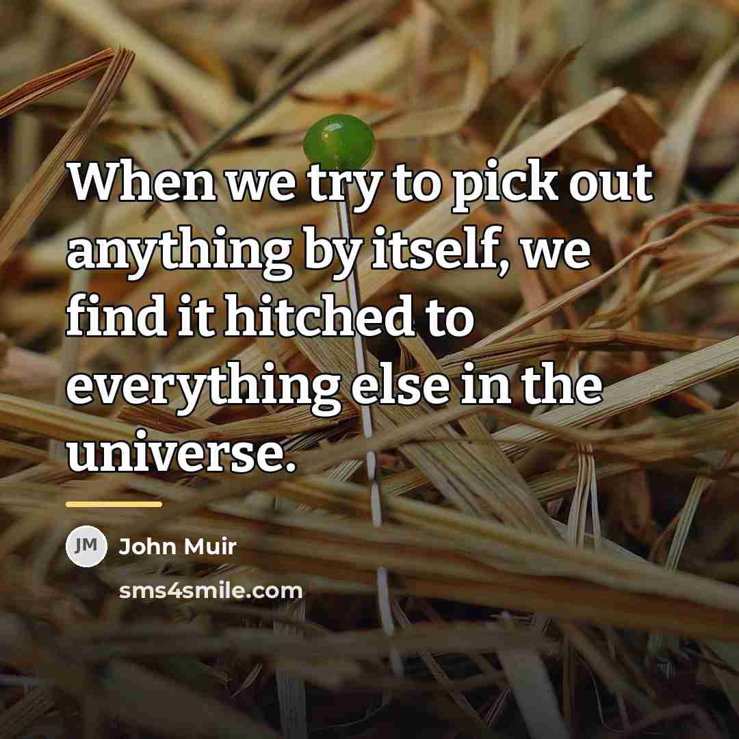 “When we try to pick out anything by itself, we…” quote by John Muir