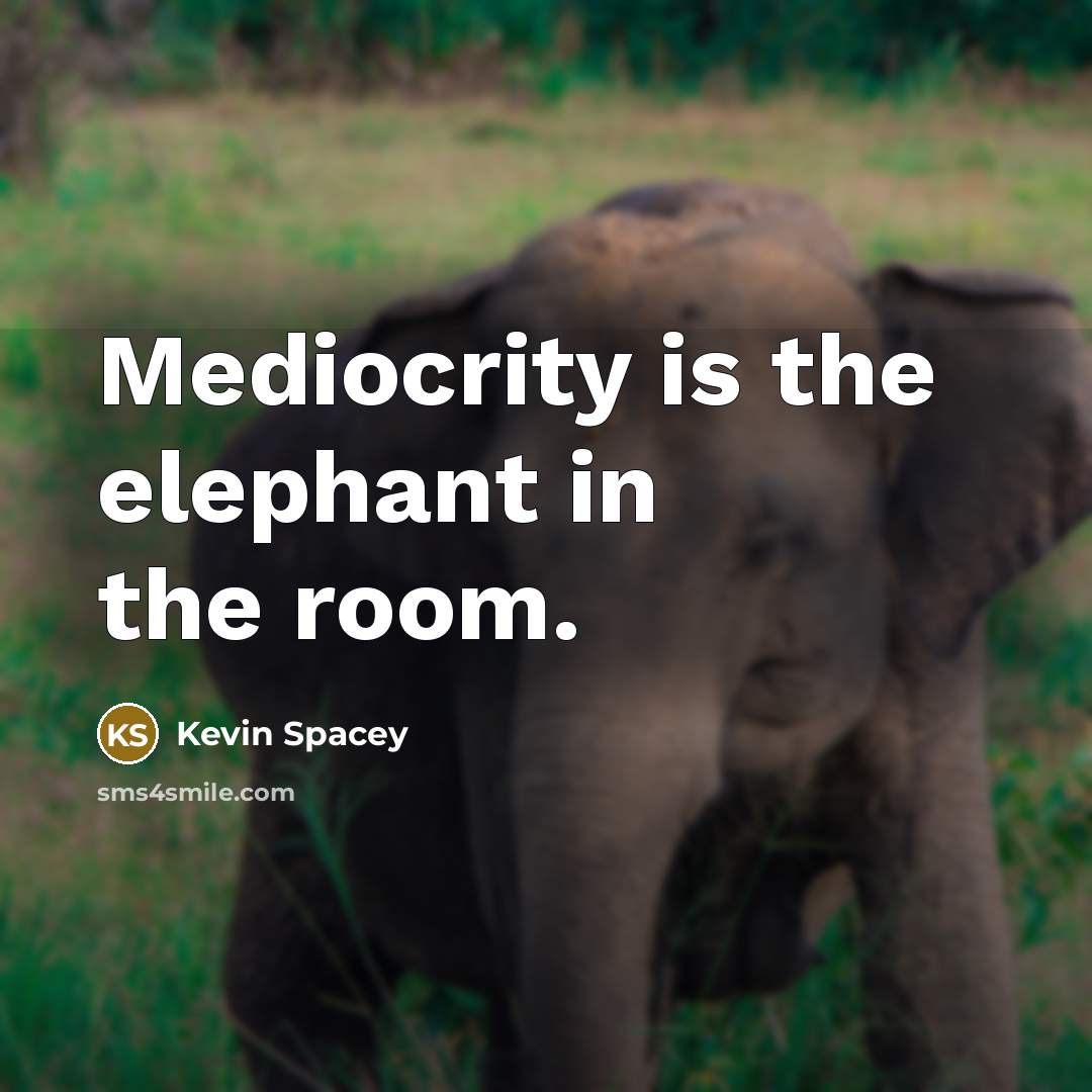 “Mediocrity is the elephant in the room.” quote by Kevin Spacey