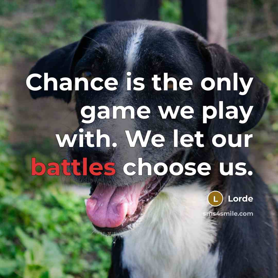 “Chance is the only game we play with. We let our battles choose us.” quote by Lorde