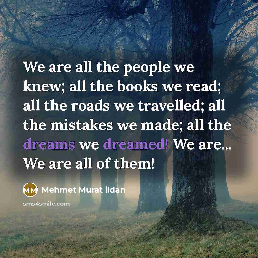 “We are all the people we knew; all the books…” quote by Mehmet Murat Ildan