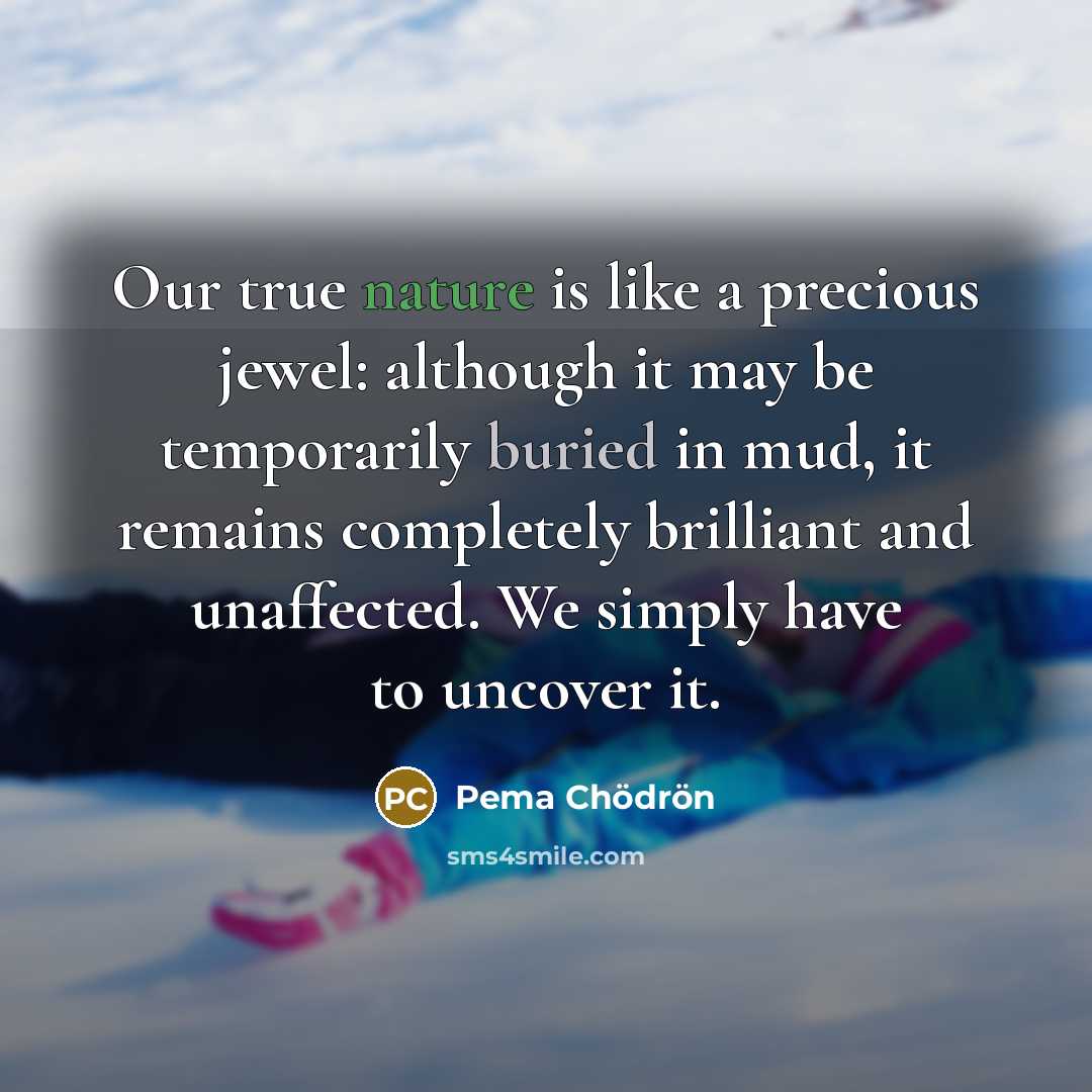 “Our true nature is like a precious jewel: although it…” quote by Pema Chodron