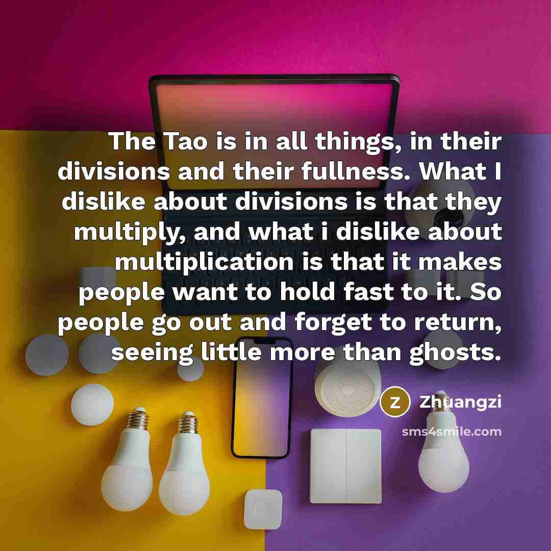 “The Tao is in all things, in their divisions and…” quote by Zhuangzi