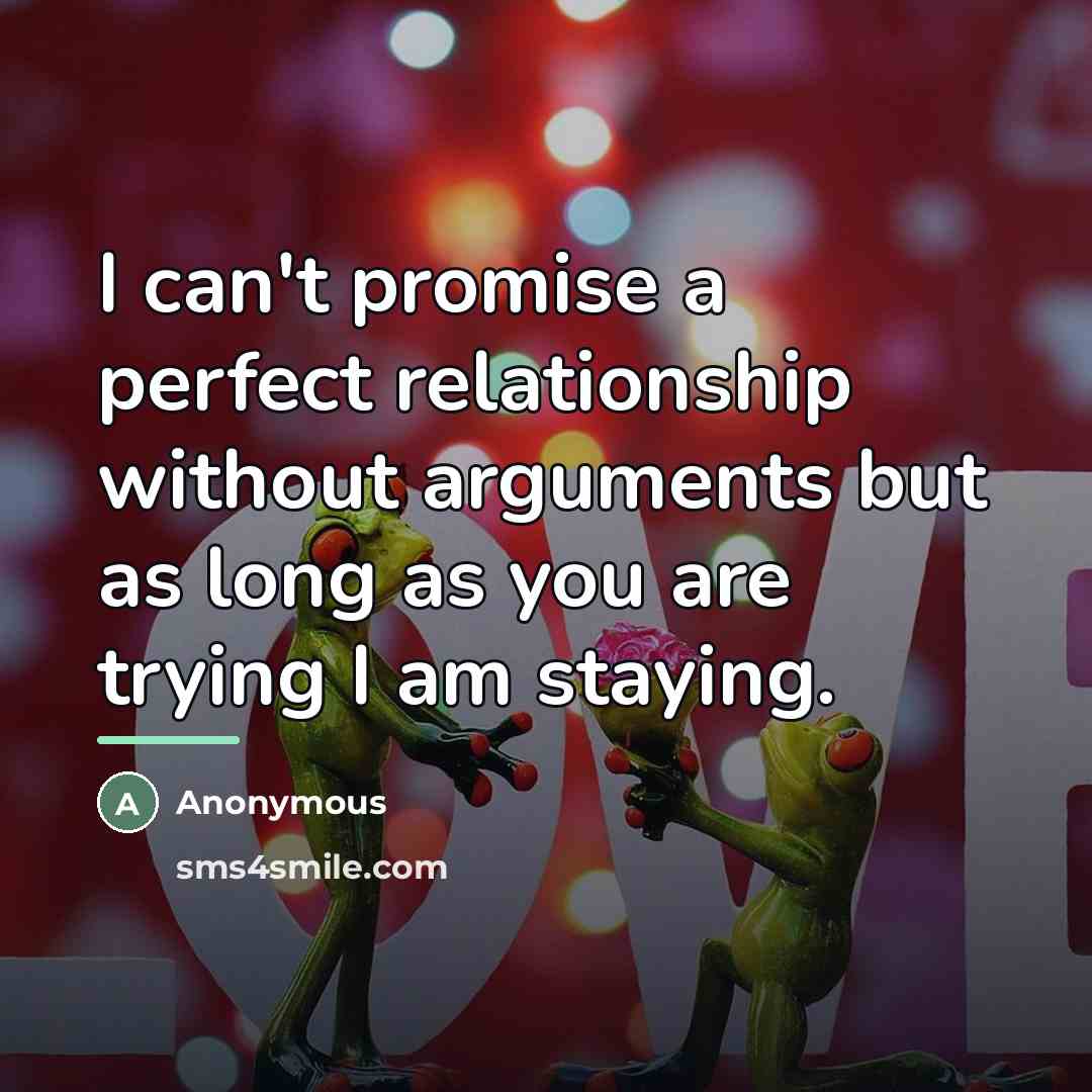 “I can't promise a perfect relationship without arguments but as…” quote by Anonymous