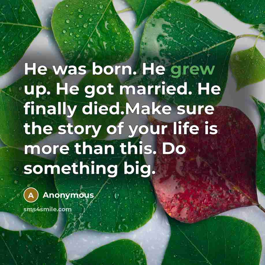 “He was born. He grew up. He got married. He finally died.Make sure the story of your life is more than this. Do something big.” quote by Anonymous