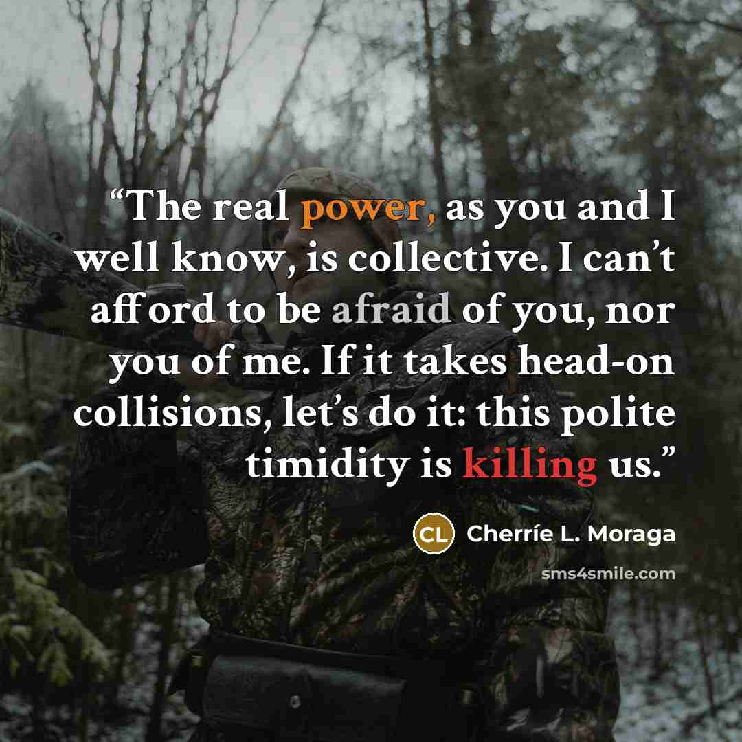 “The real power, as you and I well know, is collective. I can’t afford to be afraid of you, nor you of me. If it takes head-on collisions, let’s do it: this polite timidity is killing us.” quote by Cherríe L. Moraga