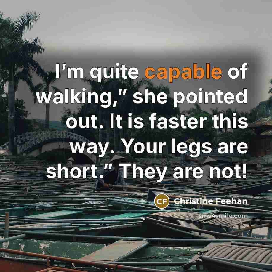 “I’m quite capable of walking,” she pointed out. It is…” quote by Christine Feehan