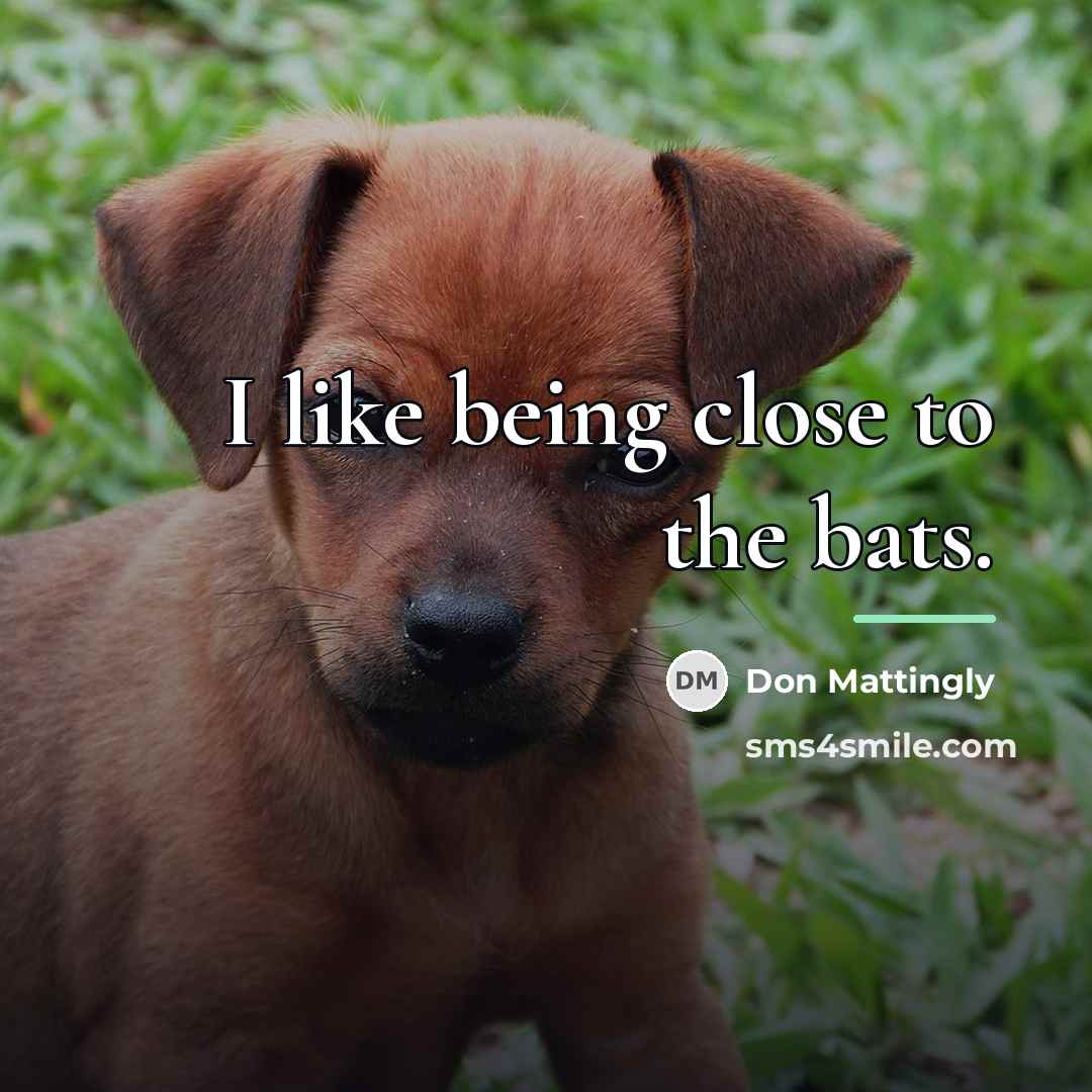 “I like being close to the bats.…” quote by Don Mattingly