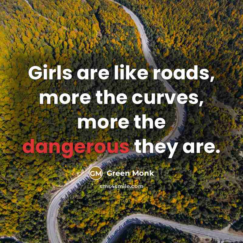 “Girls are like roads, more the curves, more the dangerous they are.” quote by Green Monk