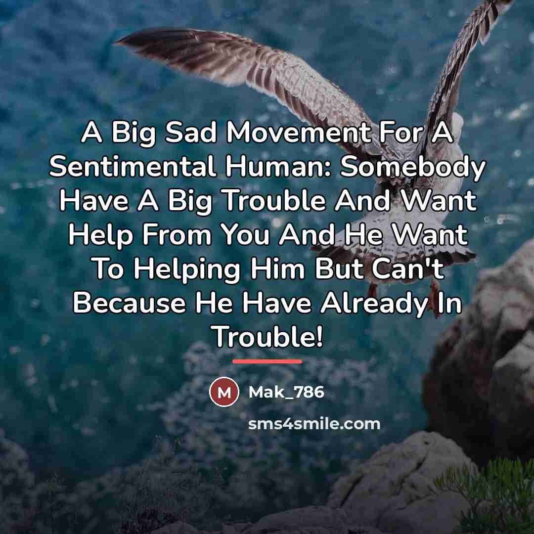 “A Big Sad Movement For A Sentimental Human: Somebody Have…” quote by Mak_786