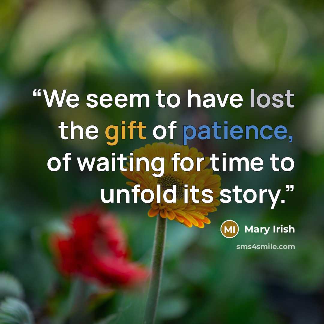 “We seem to have lost the gift of patience, of waiting for time to unfold its story.” quote by Mary Irish
