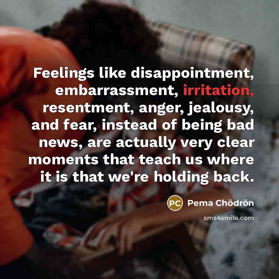“Feelings like disappointment, embarrassment, irritation, resentment, anger, jealousy, and fear,…” quote by Pema Chodron