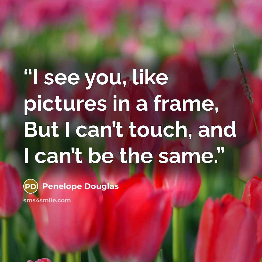 “I see you, like pictures in a frame, But I can’t touch, and I can’t be the same.” quote by Penelope Douglas