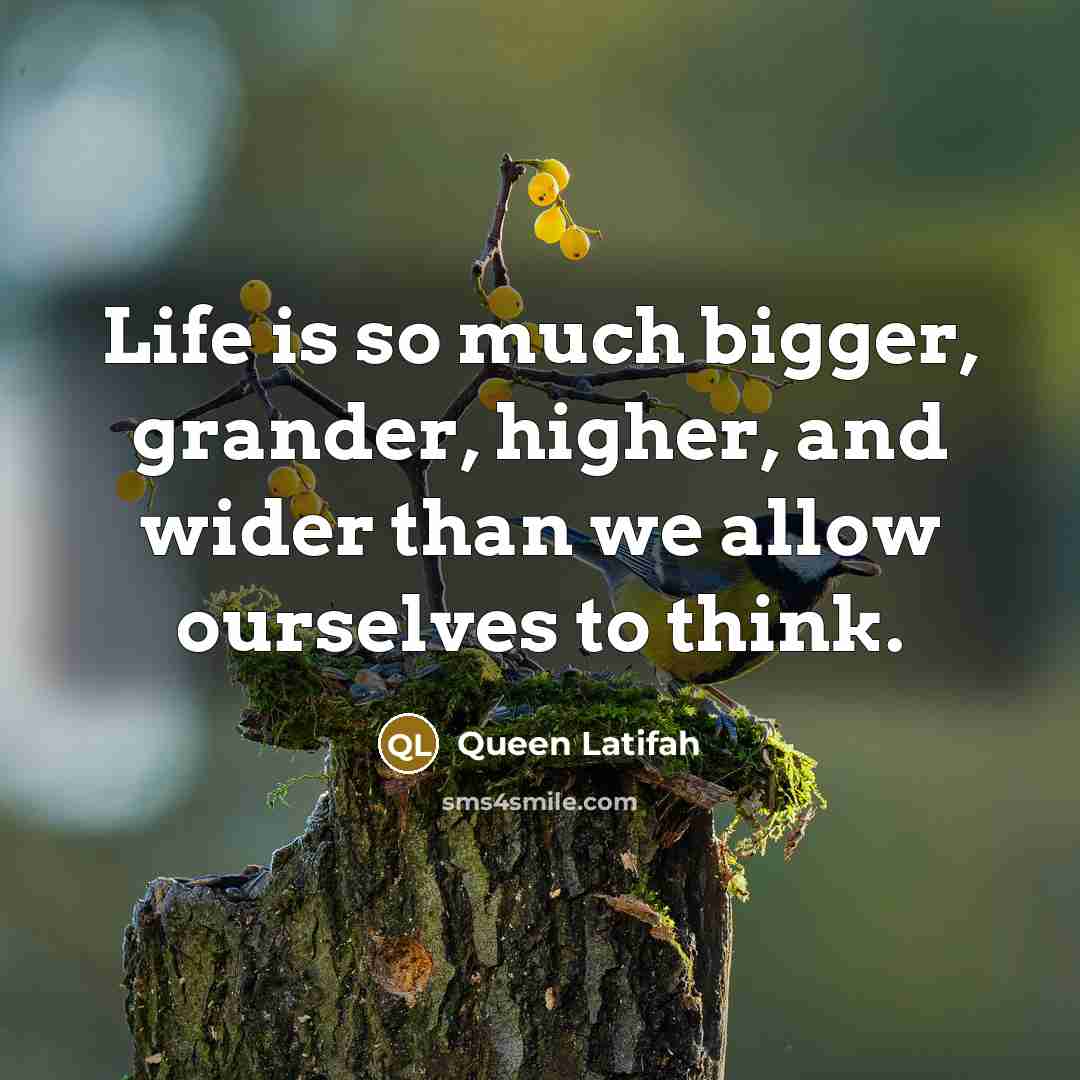 “Life is so much bigger, grander, higher, and wider than…” quote by Queen Latifah