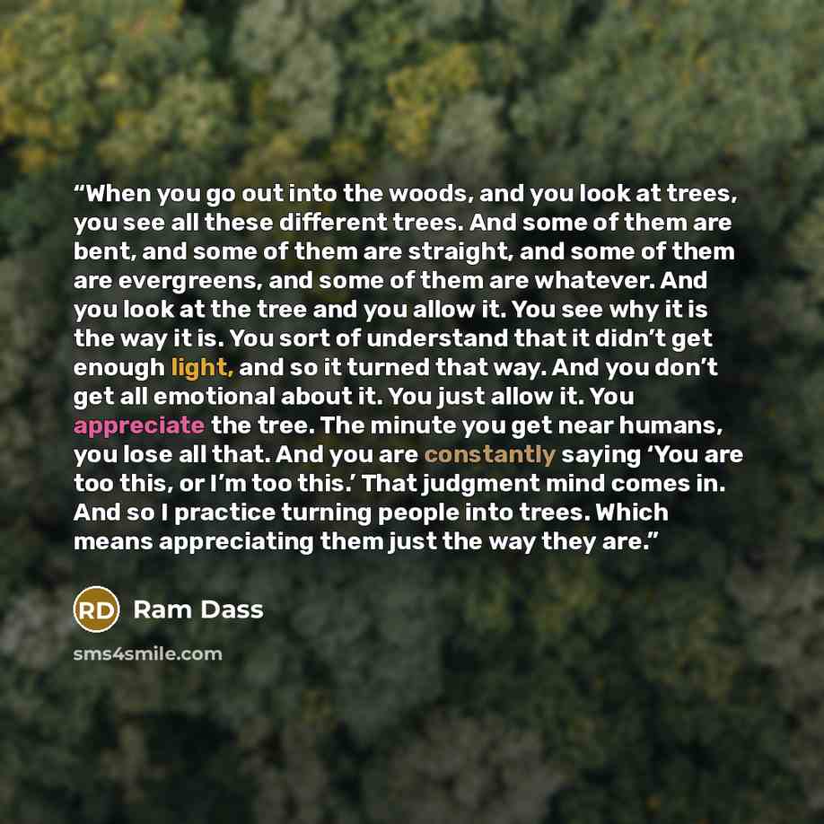 “When you go out into the woods, and you look at trees, you see all these different trees. And some of them are bent, and some of them are straight, and some of them are evergreens, and some of them are whatever. And you look at the tree and you allow it. You see why it is the way it is. You sort…” quote by Ram Dass