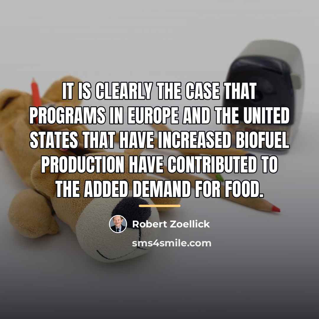“It is clearly the case that programs in Europe and…” quote by Robert Zoellick