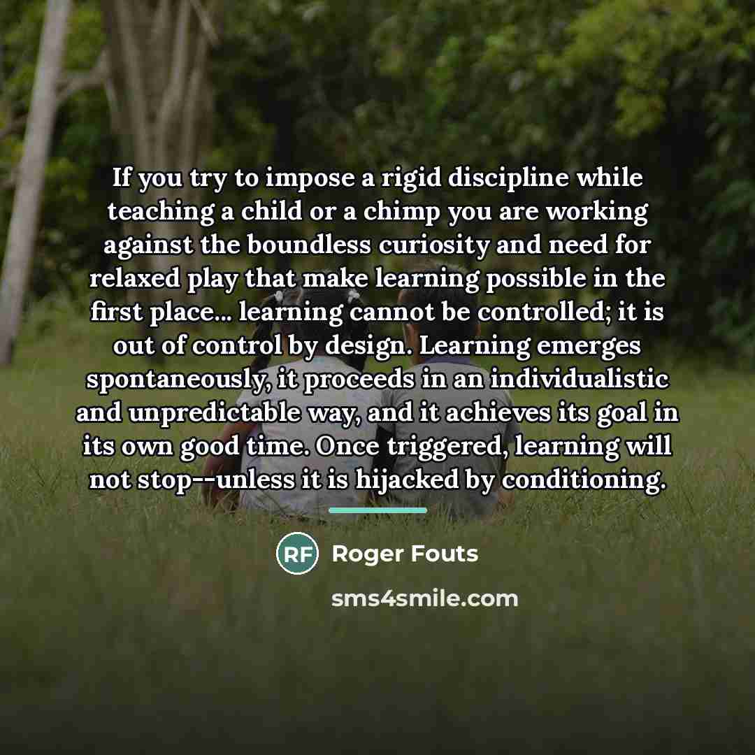 “If you try to impose a rigid discipline while teaching…” quote by Roger Fouts