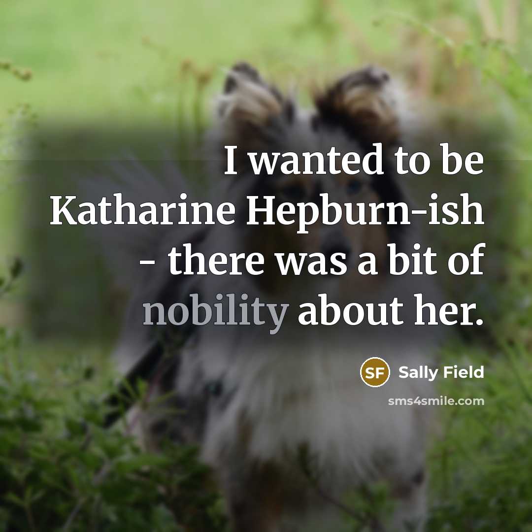 “I wanted to be Katharine Hepburn-ish - there was a…” quote by Sally Field
