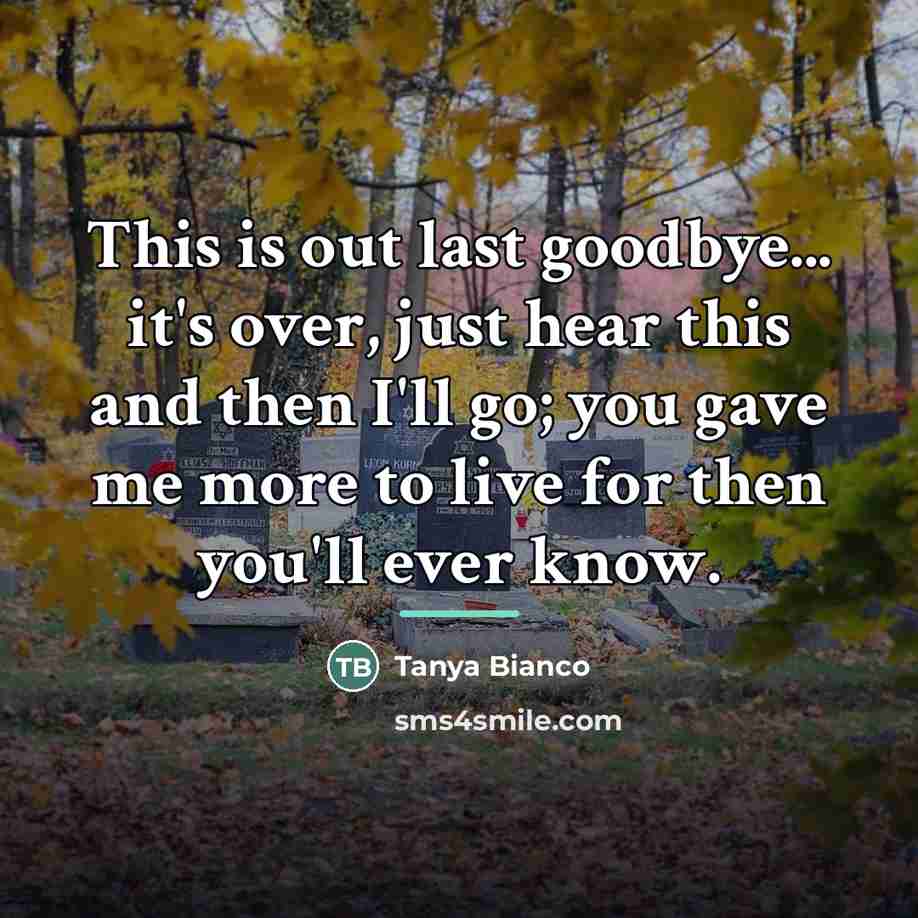 “This is out last goodbye... it's over, just hear this…” quote by Tanya Bianco