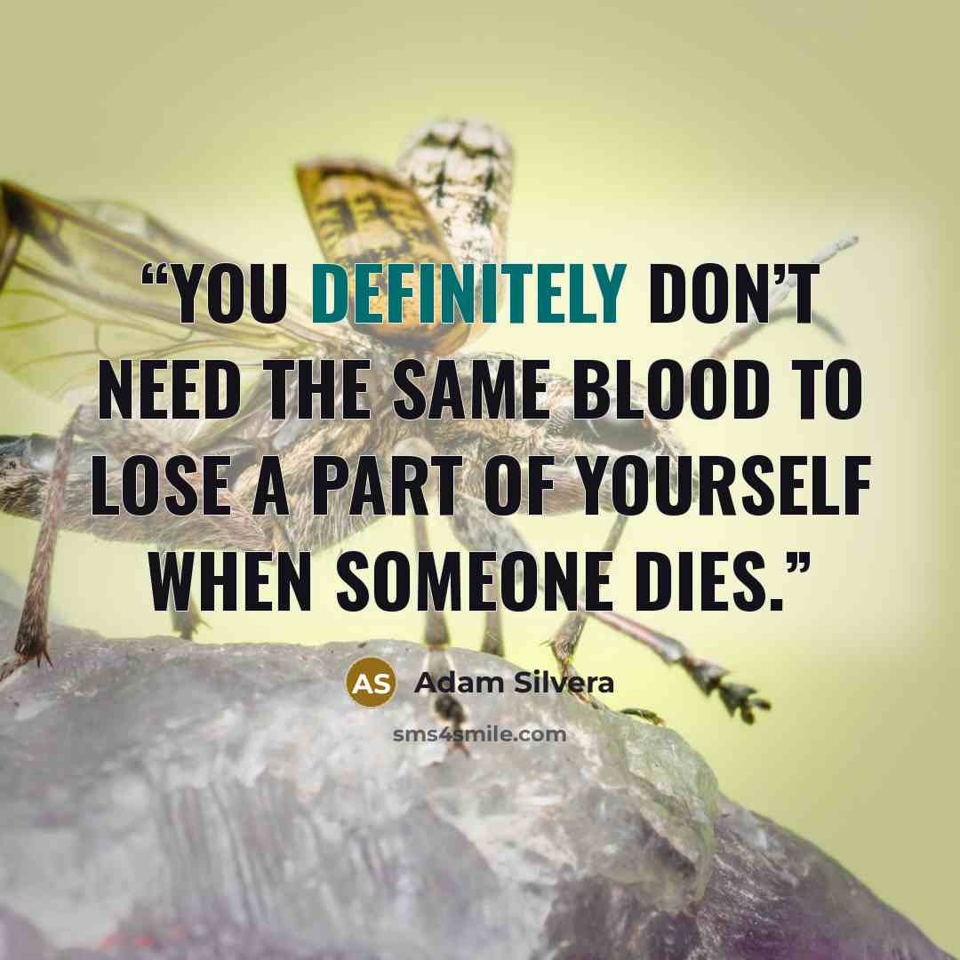 “you definitely don’t need the same blood to lose a part of yourself when someone dies.” quote by Adam Silvera