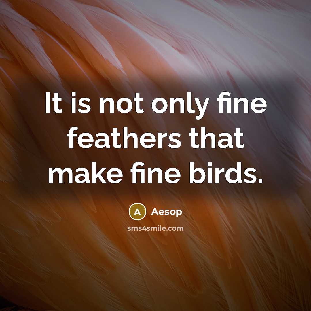 “It is not only fine feathers that make fine birds.…” quote by Aesop
