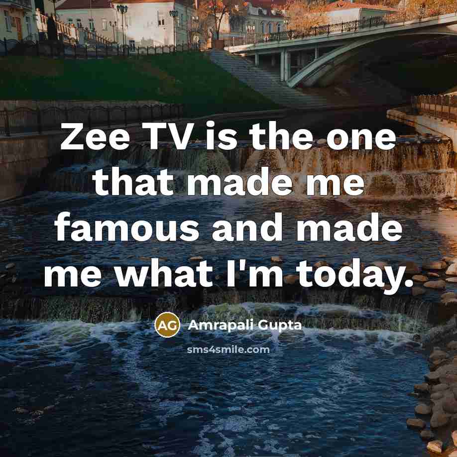 “Zee TV is the one that made me famous and made me what I'm today.” quote by Amrapali Gupta