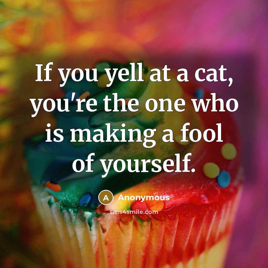 “If you yell at a cat, you're the one who…” quote by Anonymous