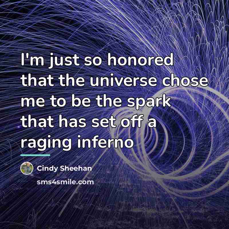 “I'm just so honored that the universe chose me to…” quote by Cindy Sheehan