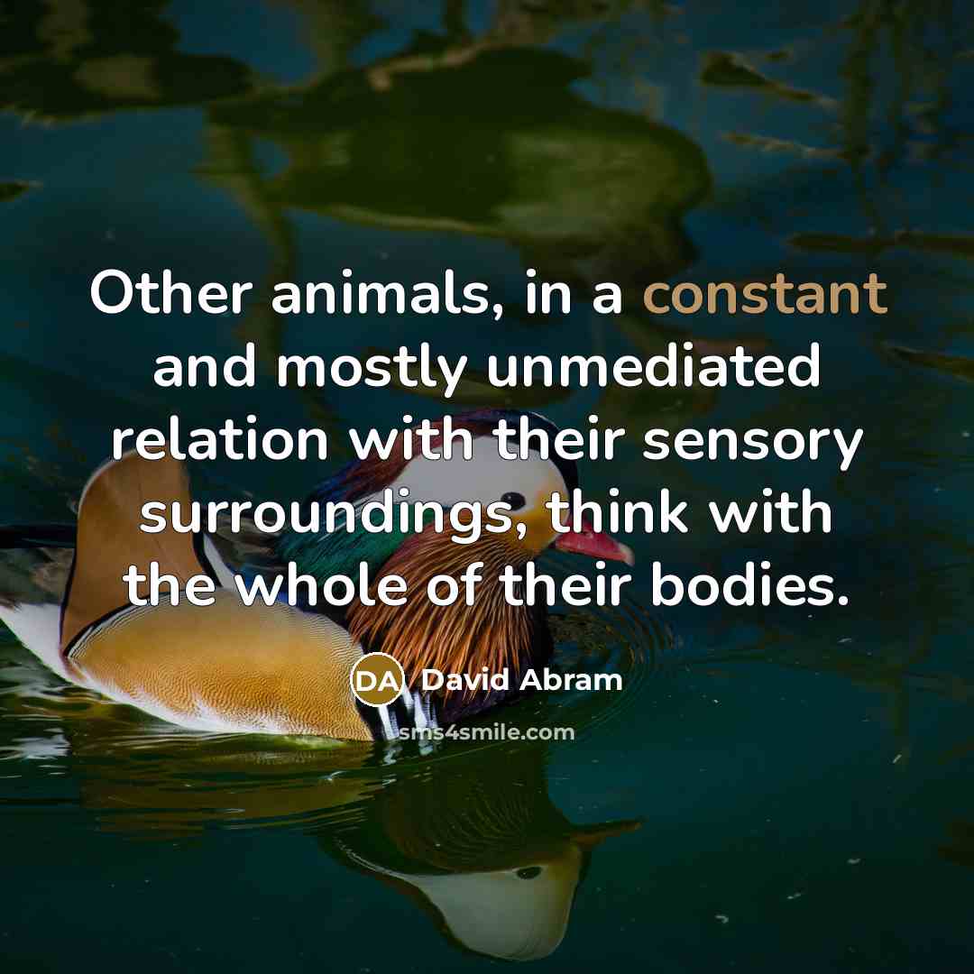 “Other animals, in a constant and mostly unmediated relation with…” quote by David Abram