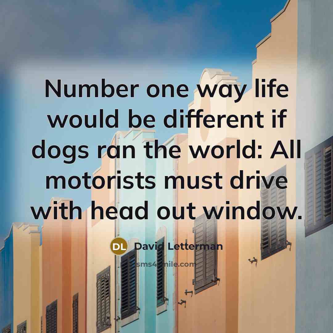 “Number one way life would be different if dogs ran the world: All motorists must drive with head out window.” quote by David Letterman