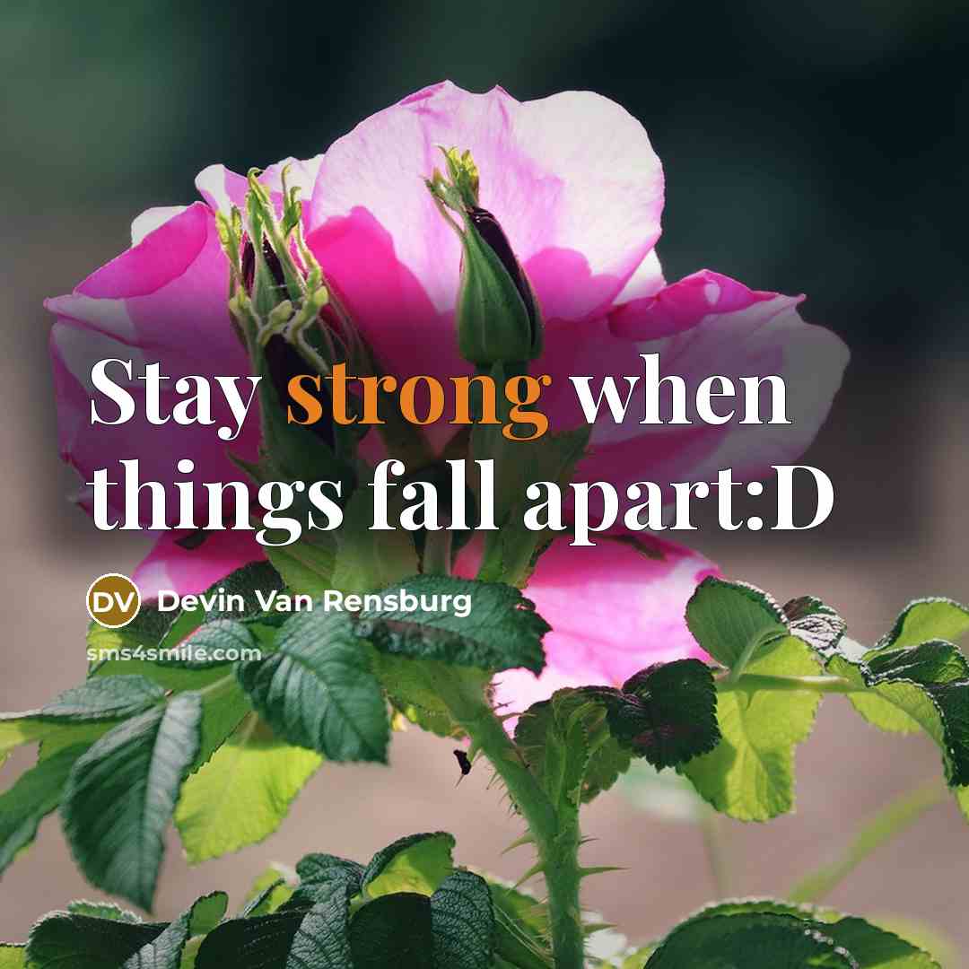 “Stay strong when things fall apart:D” quote by Devin Van Rensburg
