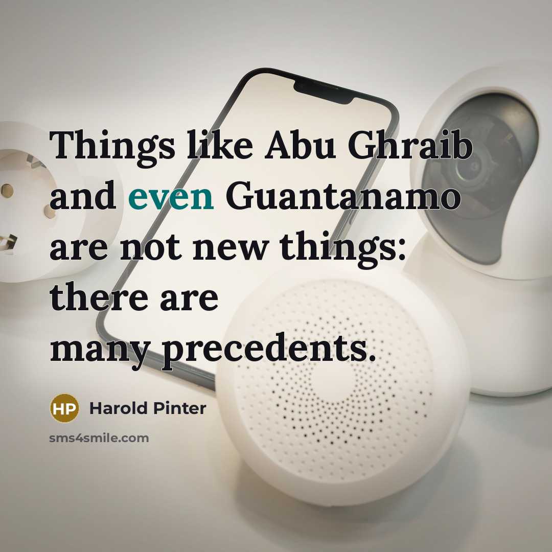 “Things like Abu Ghraib and even Guantanamo are not new things: there are many precedents.” quote by Harold Pinter