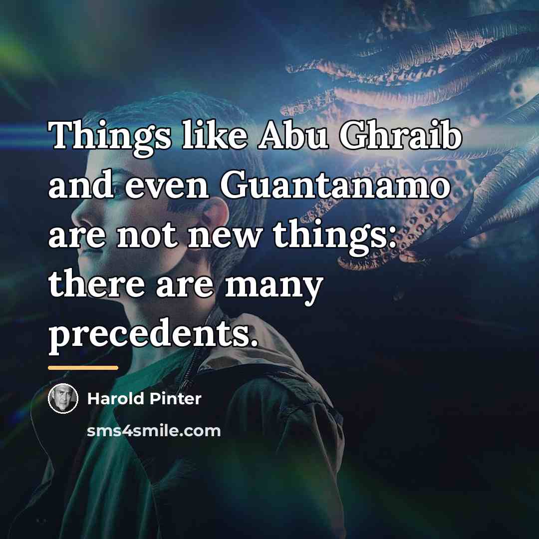 “Things like Abu Ghraib and even Guantanamo are not new…” quote by Harold Pinter