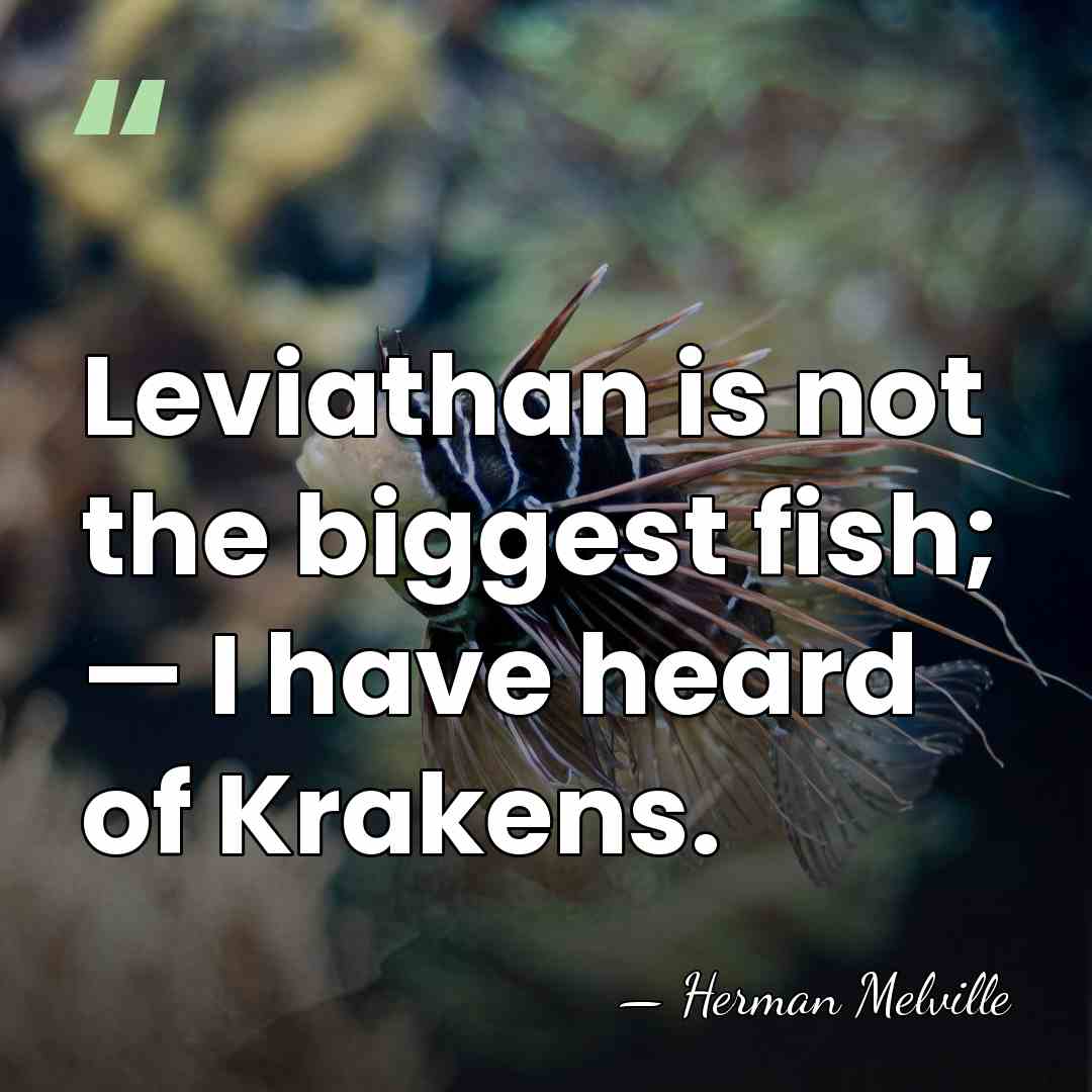 Leviathan is not the biggest fish; — I have heard of Krakens. - Herman Melville
