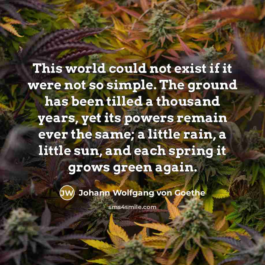 “This world could not exist if it were not so…” quote by Johann Wolfgang von Goethe