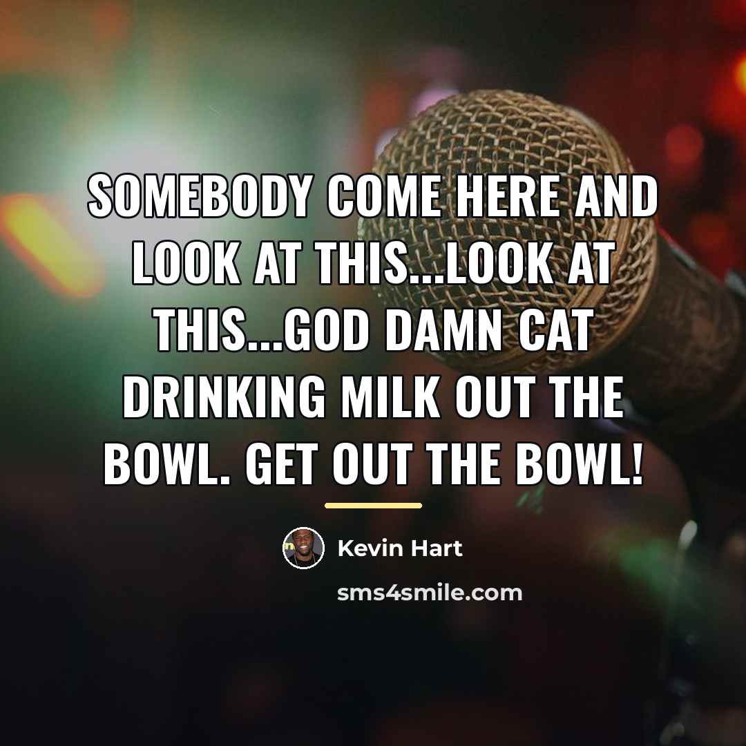 “Somebody come here and look at this...look at this...God damn…” quote by Kevin Hart