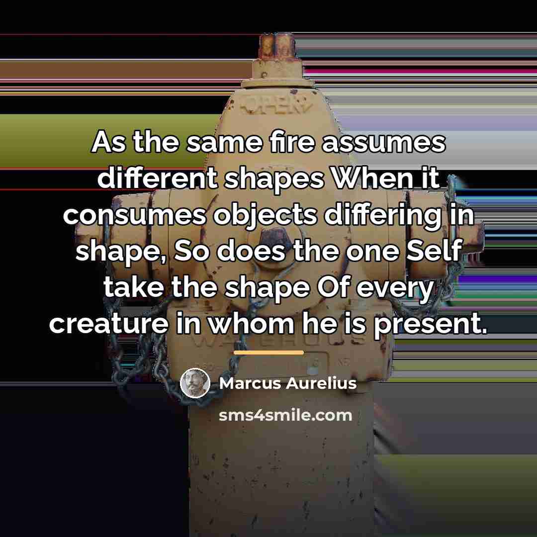 “As the same fire assumes different shapes When it consumes…” quote by Marcus Aurelius