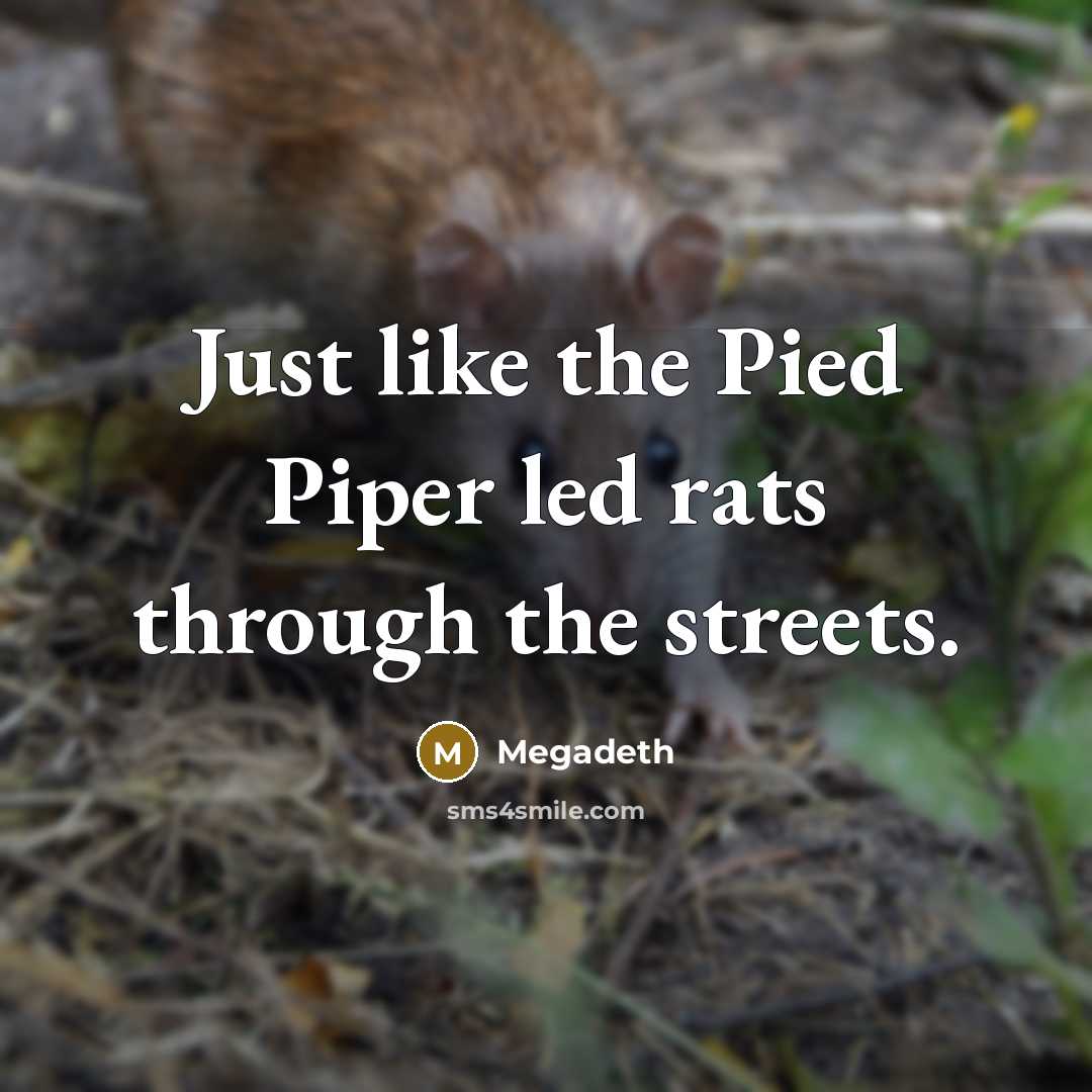 “Just like the Pied Piper led rats through the streets.” quote by Megadeth