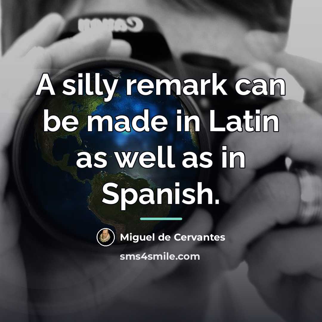 “A silly remark can be made in Latin as well…” quote by Miguel de Cervantes
