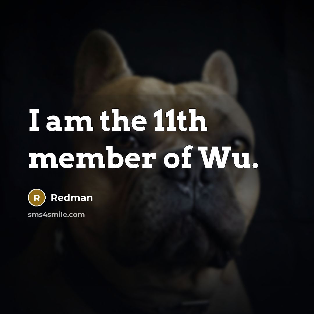 “I am the 11th member of Wu.…” quote by Redman