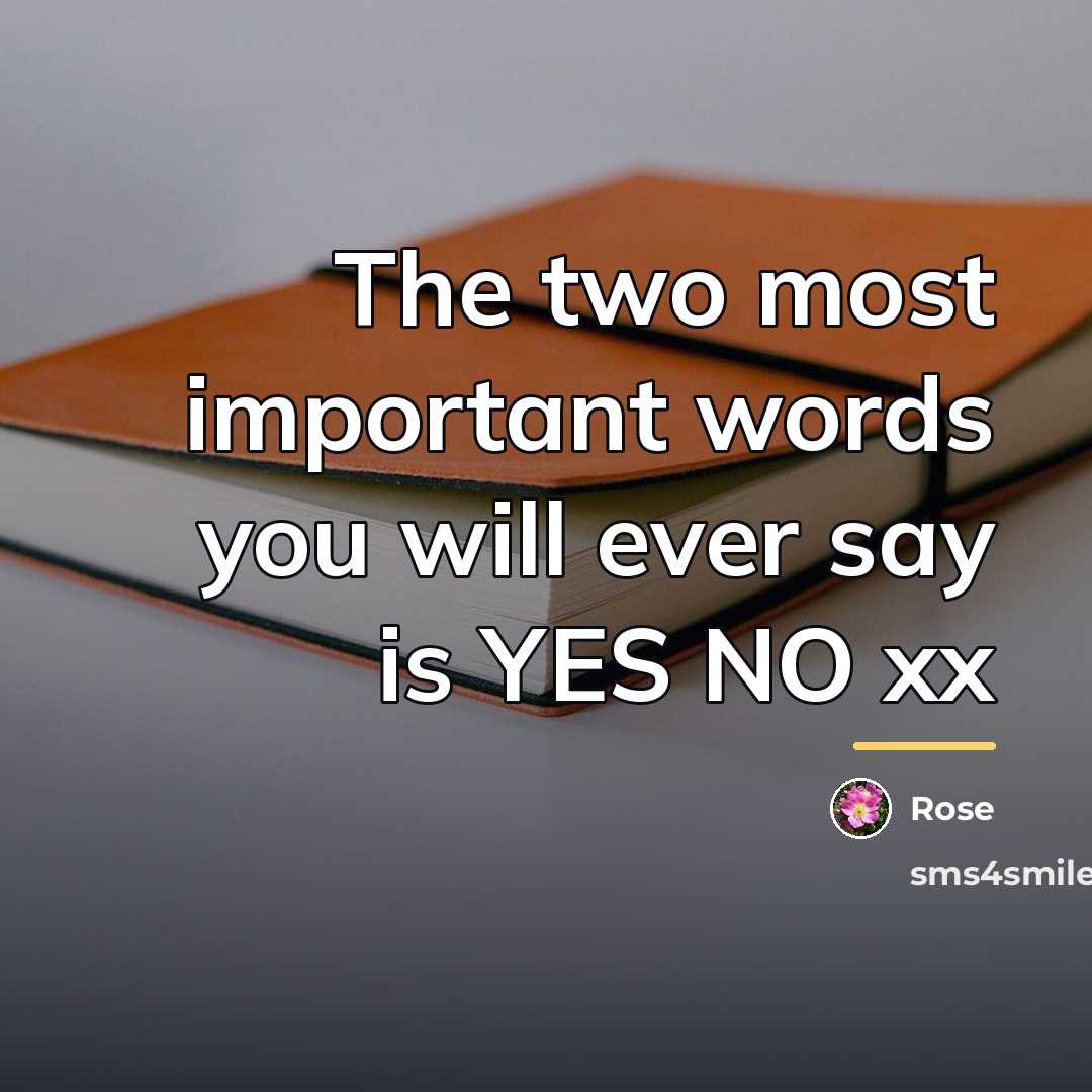 “The two most important words you will ever say is…” quote by Rose