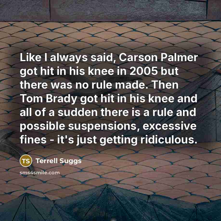 “Like I always said, Carson Palmer got hit in his…” quote by Terrell Suggs