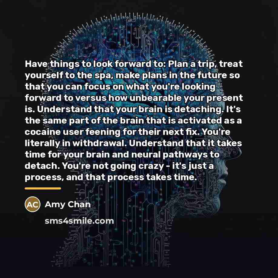 “Have things to look forward to: Plan a trip, treat…” quote by Amy Chan