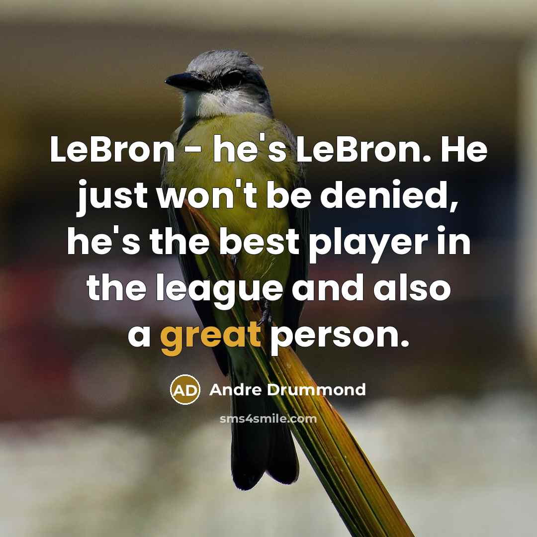 “LeBron - he's LeBron. He just won't be denied, he's…” quote by Andre Drummond