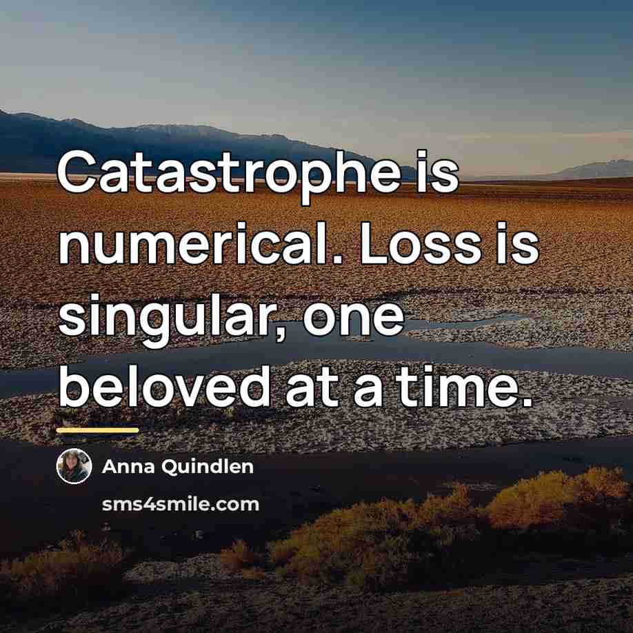 “Catastrophe is numerical. Loss is singular, one beloved at a…” quote by Anna Quindlen
