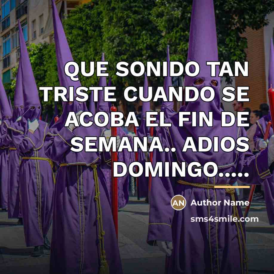 “QUE SONIDO TAN TRISTE CUANDO SE ACOBA EL FIN DE…” quote by Author Name