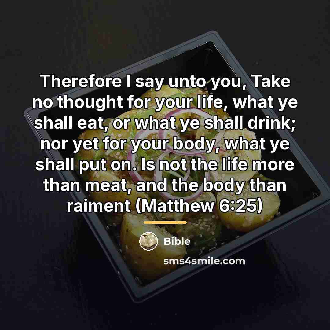“Therefore I say unto you, Take no thought for your…” quote by Bible