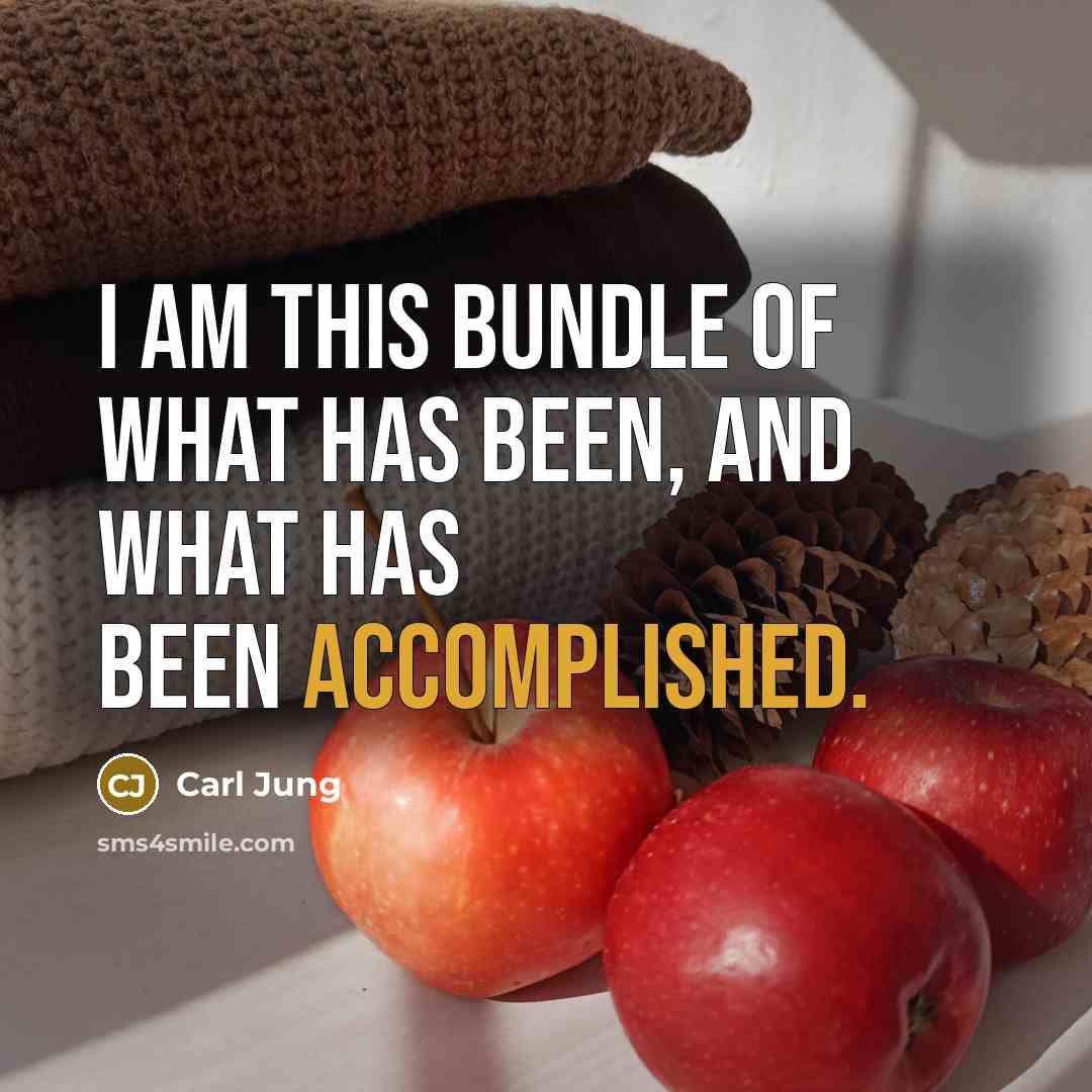 “I am this bundle of what has been, and what…” quote by Carl Jung